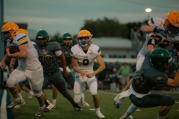 Healthy Diets for Pets for a Successful Year