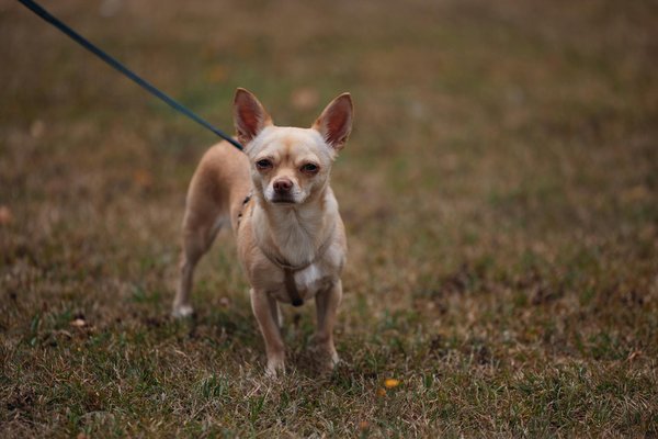 How to Leverage Technology in the UK in 2024